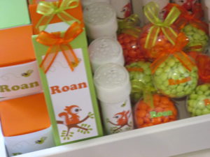 Doopsuiker groen/oranje met eekhoorntje